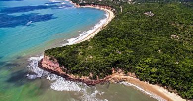 Pipa também entra no clima de São João e mostra que tradição e turismo podem caminhar juntos
