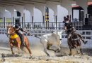 Turismo Rural: um roteiro que o Rio Grande do Norte precisa descobrir