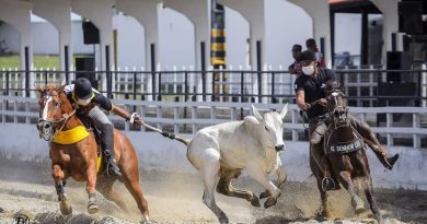 Turismo Rural: um roteiro que o Rio Grande do Norte precisa descobrir