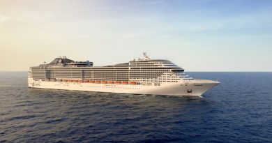 Cruzeiros: o gigante do turismo que o Nordeste não pode deixar passar